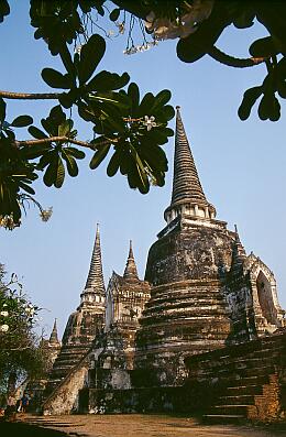 Ayutthaya - Ruinen des ehem. Königstempels Wat Phra Si San Phet, weiße Chedis